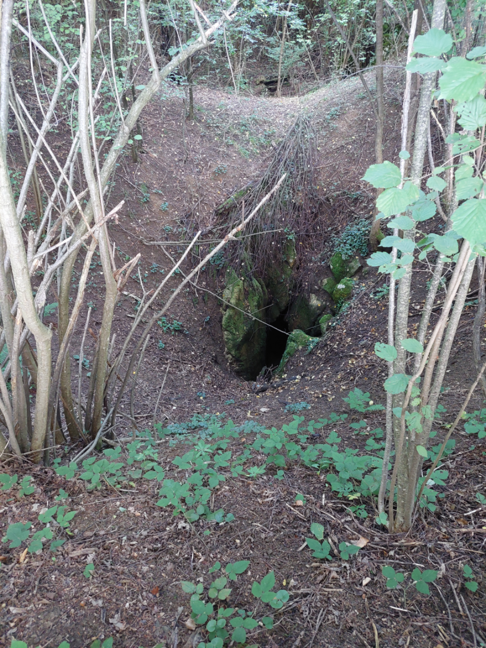 Avenul cu Peşteră - Image 2